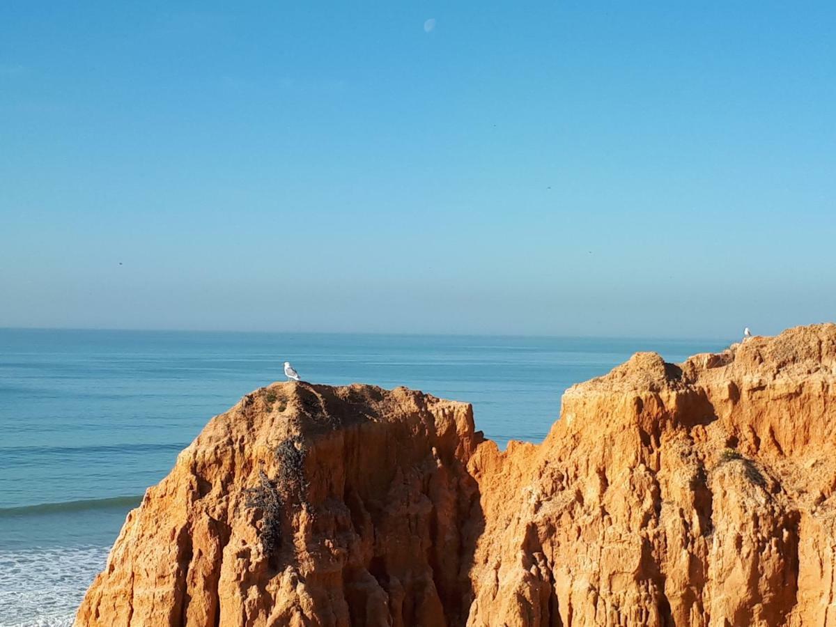 Apartamento Albufeira 6 B Экстерьер фото